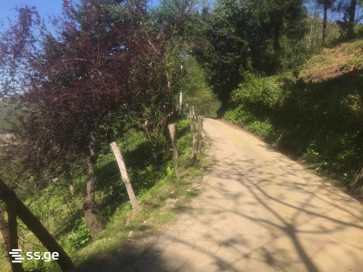 Land For Sale. Gonio view 3
