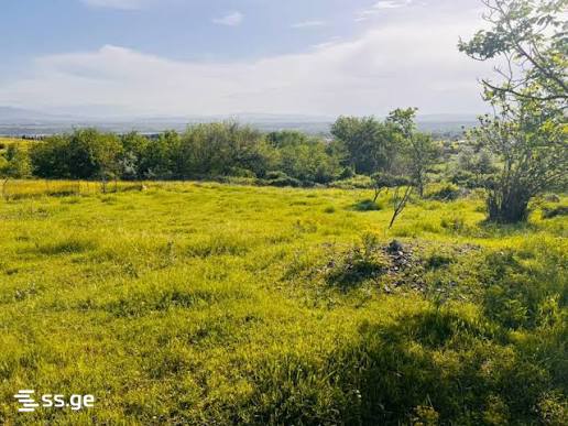 Land For Sale. Natakhtari view 2