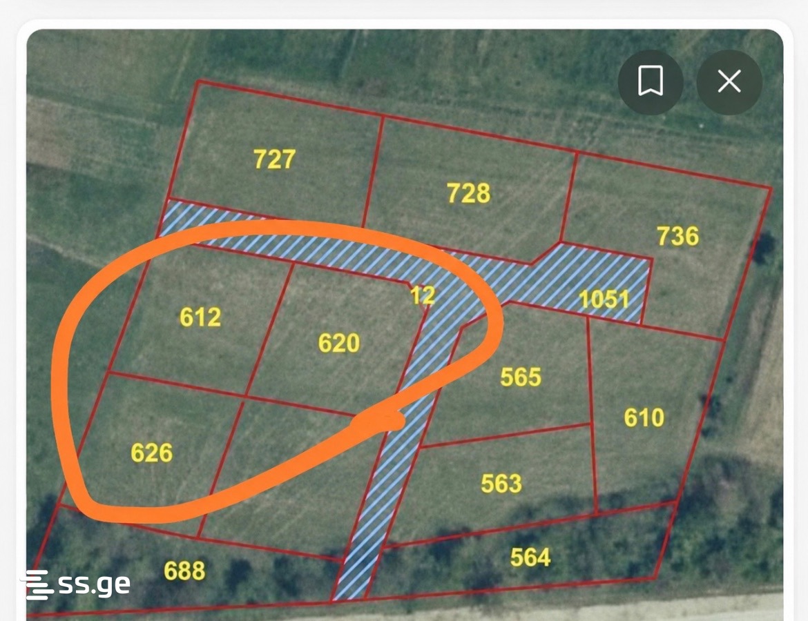 Land For Sale. Telavi, 2 of 4