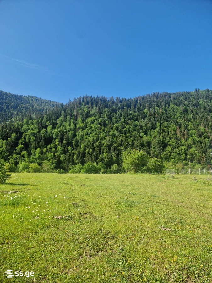 For Sale Sasoplo-Sameurneo Land Plot Borjomshi view 12