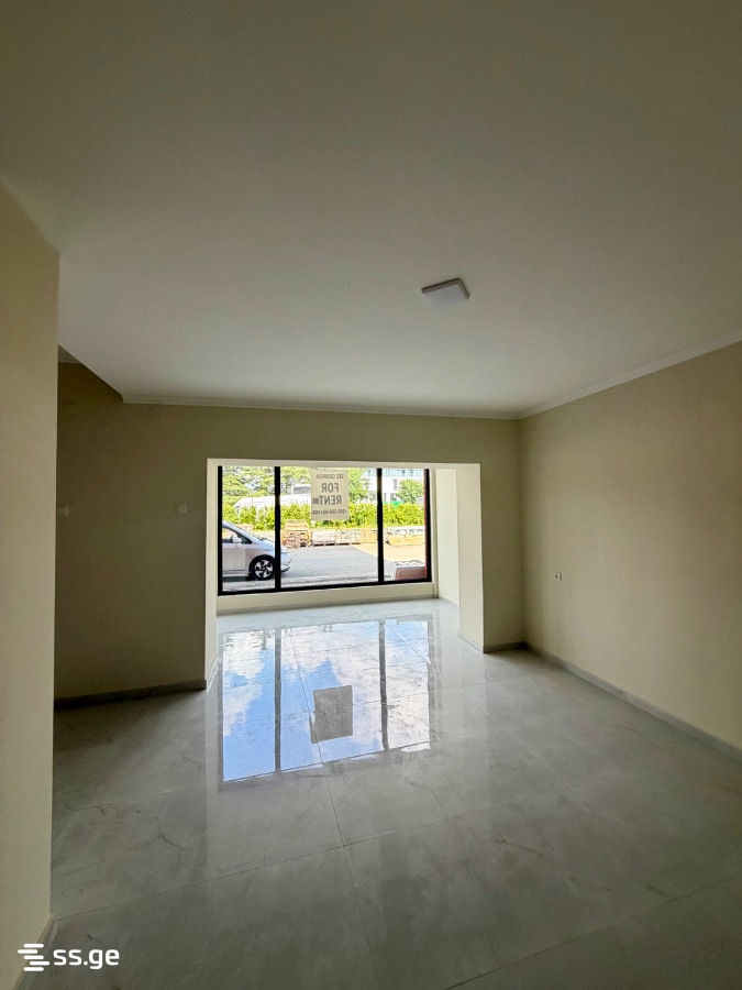 Commercial Space For Rent. Kutaisi view 10