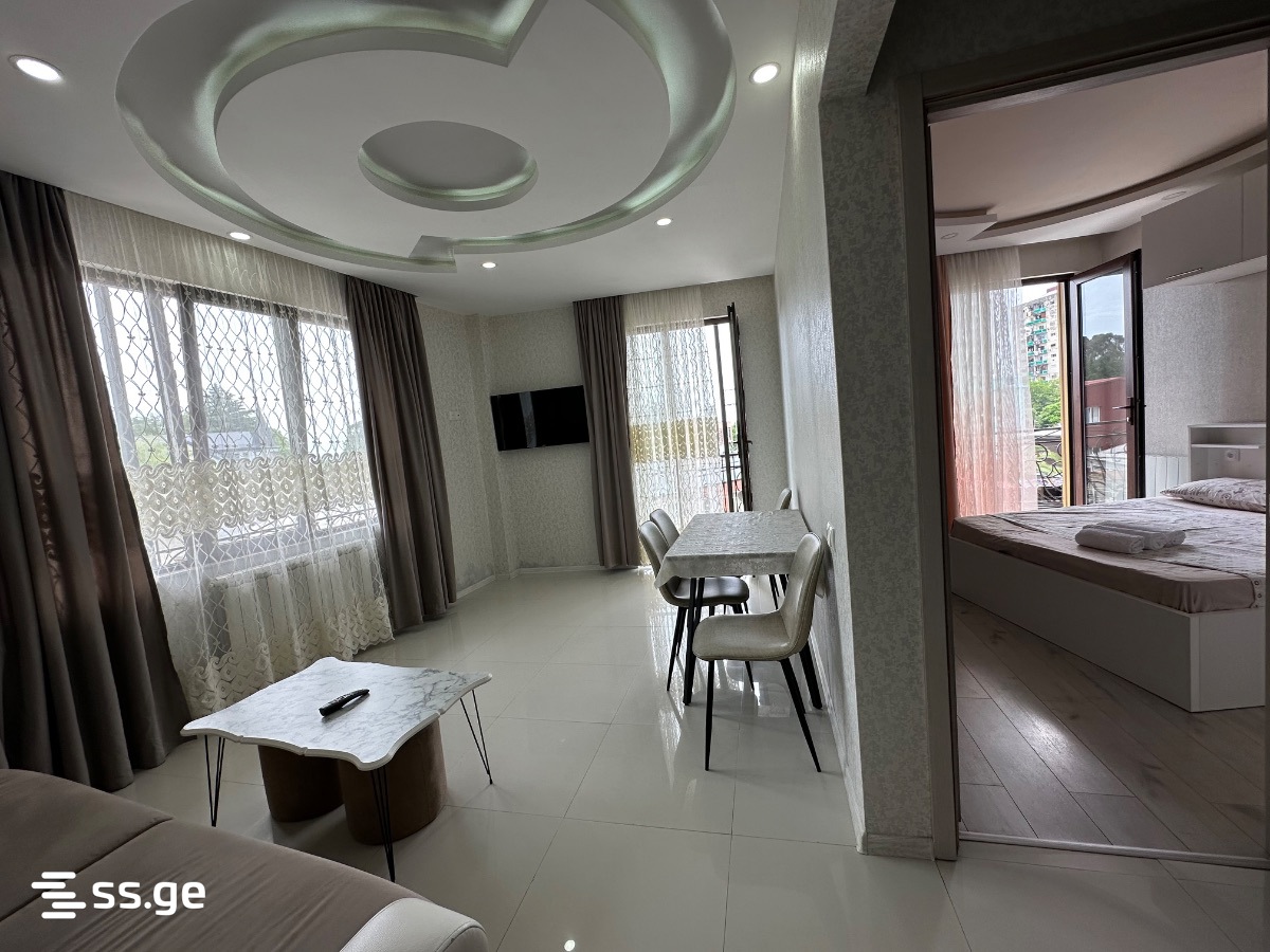 6 Room Private House Daily Rent. Batumi view 10