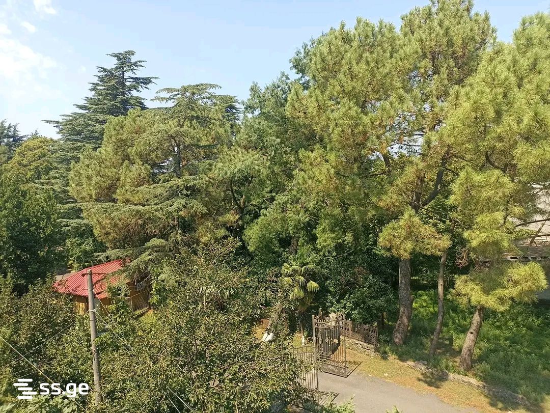 2 Room Flat Daily Rent. Gonio view 9