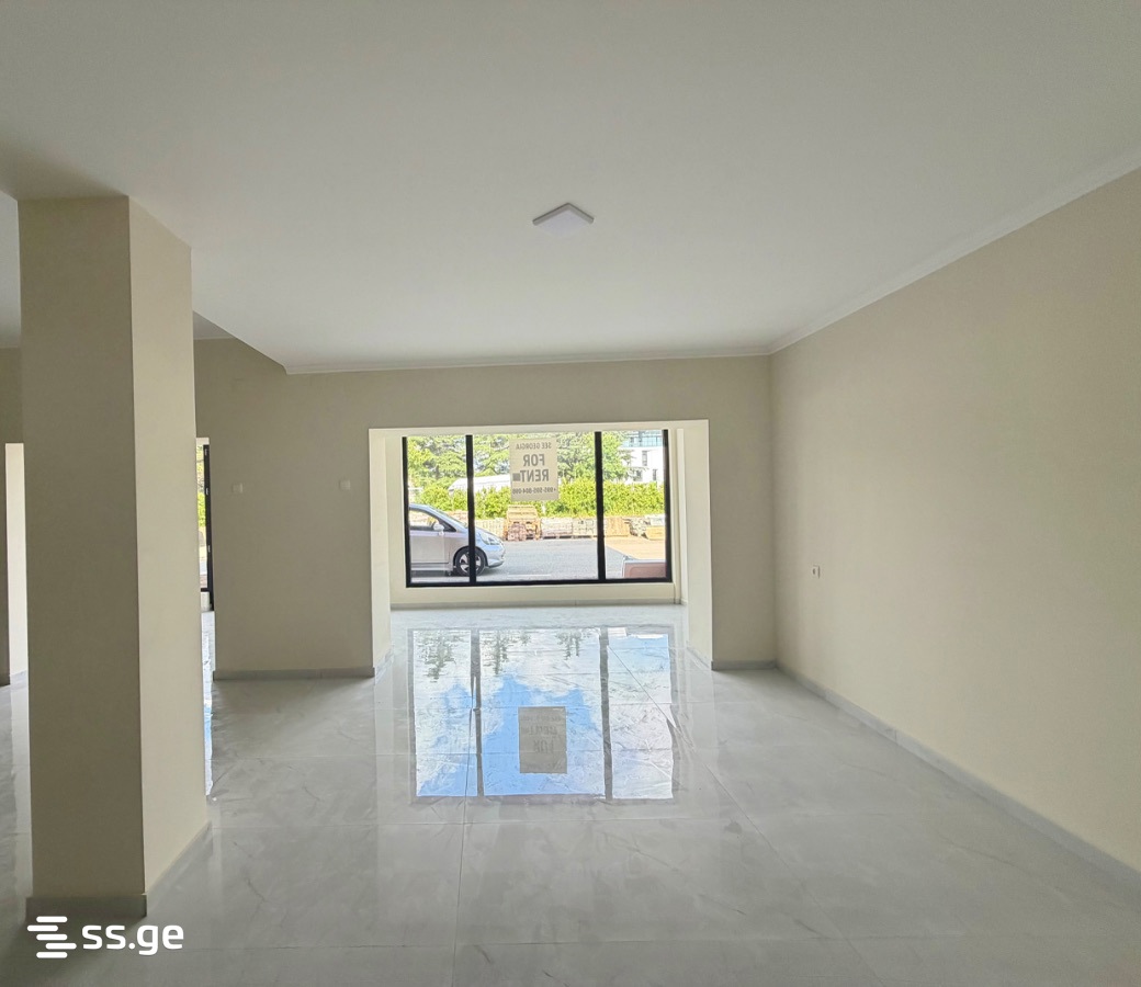 Commercial Space For Rent. Kutaisi view 3