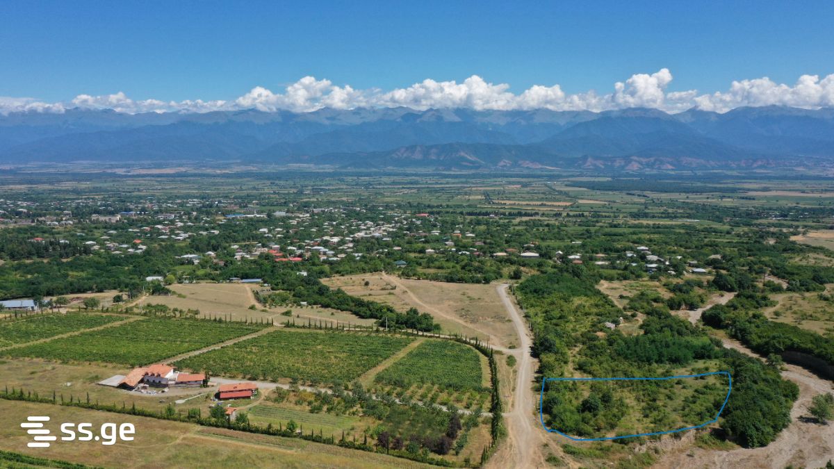 Land For Sale. Telavi, 4 of 4