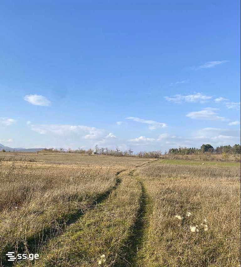Land For Sale. Bazaleti view 8