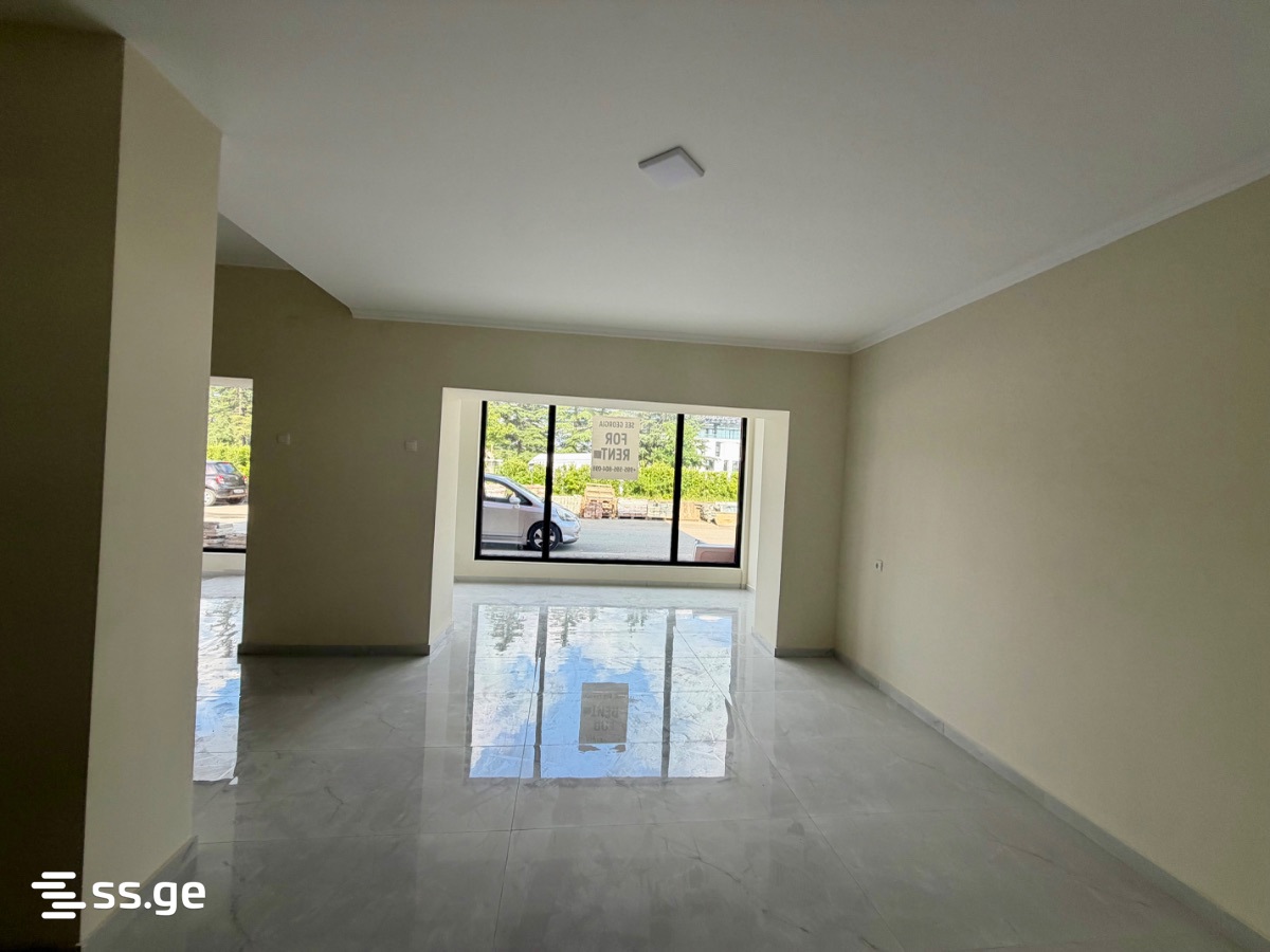 Commercial Space For Rent. Kutaisi view 9