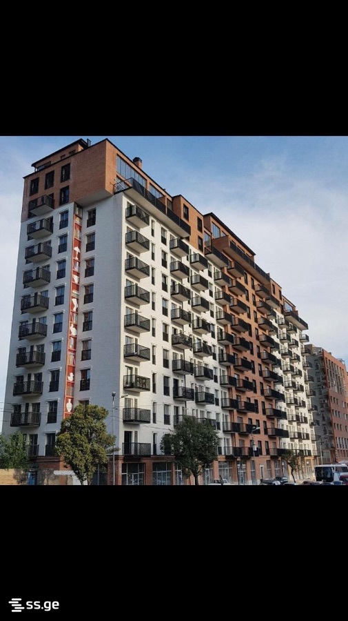 2 room Flat Daily rent. Isani - Widok 3