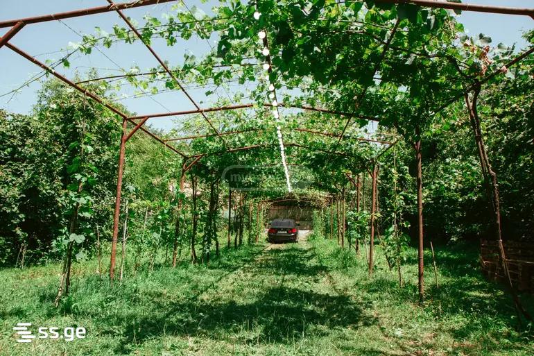 5 Room Private House Daily Rent. Ambrolauri view 3