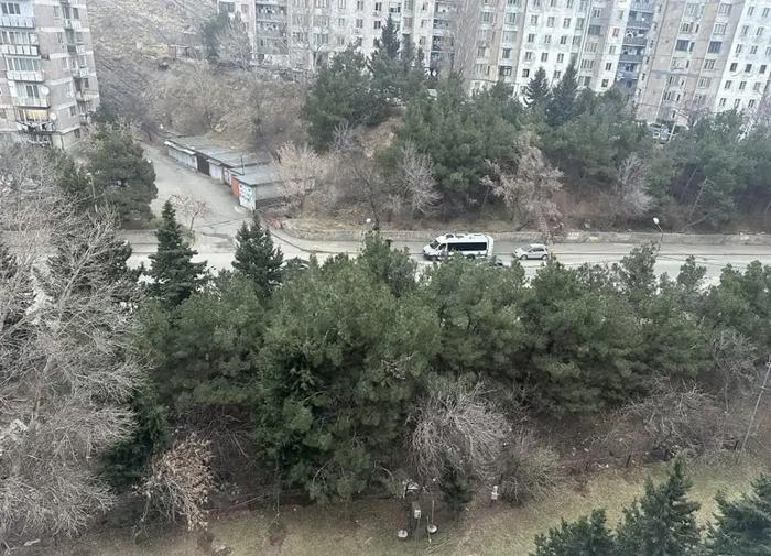https://static.ss.ge/20260625/19_439bf485-903b-4d97-82c6-976ad809dc96_Thumb.jpg