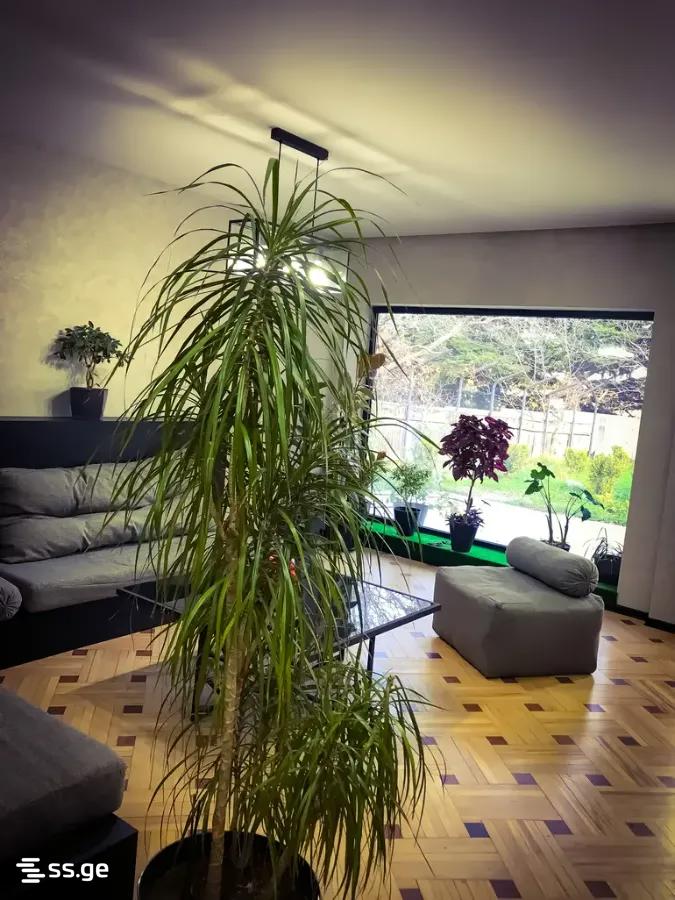 9 Room Private House Daily Rent. Tsodoreti view 2