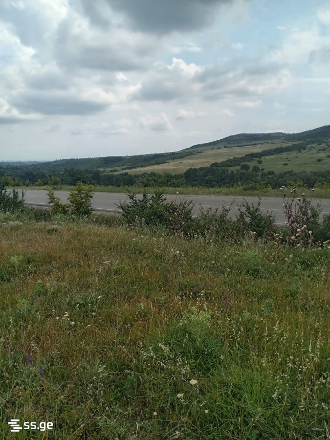 იყიდება მიწა ნორიოში view 2