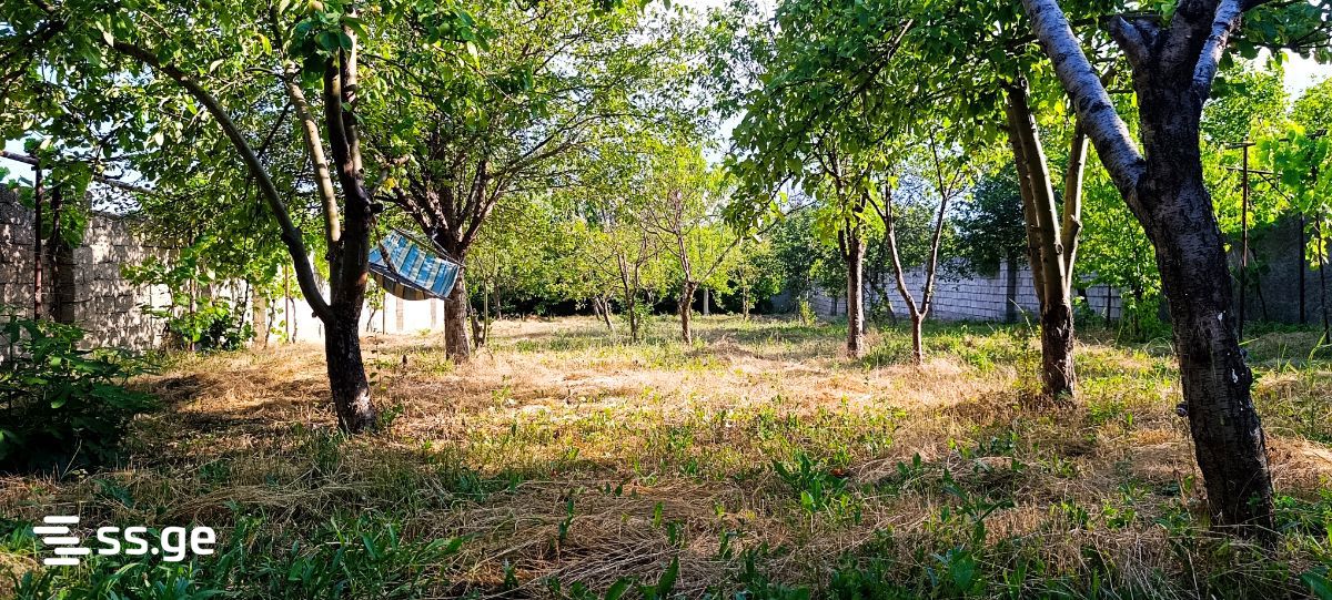 3 Room Summer Cottage For Sale view 7