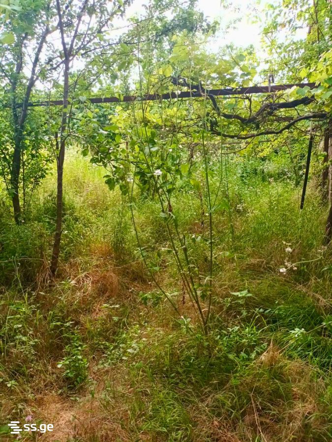 იყიდება 6-ოთახი კერძო სახლი view 14