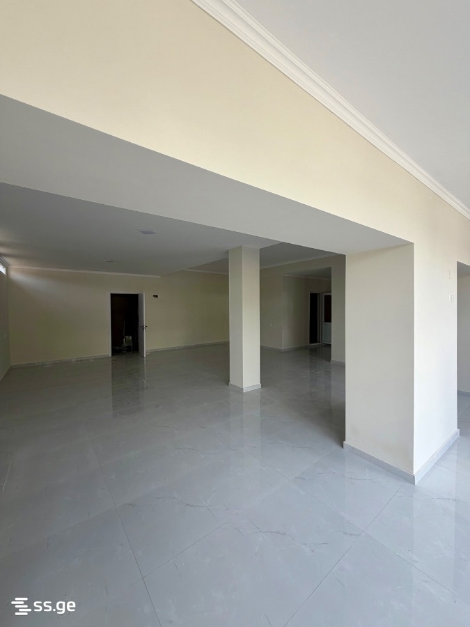 Commercial Space For Rent. Kutaisi view 7