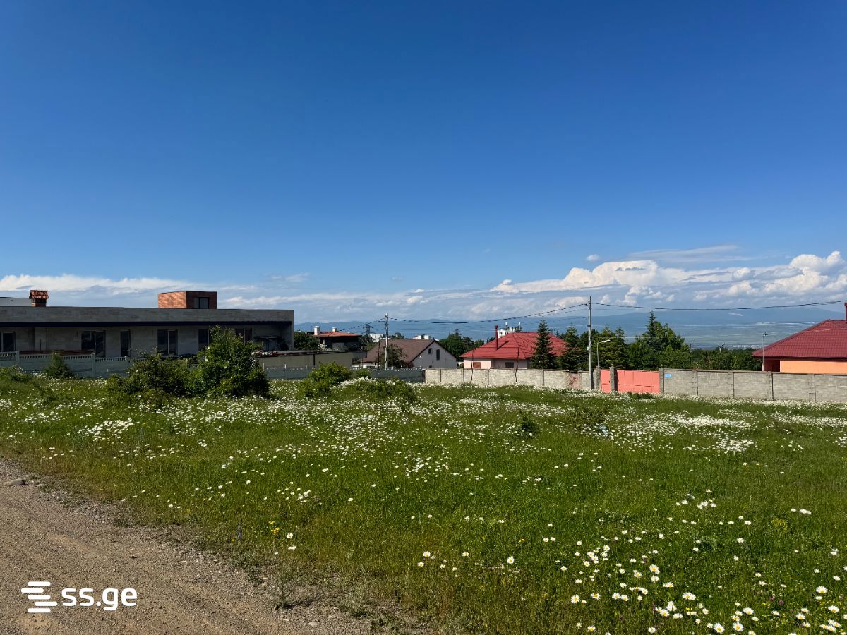Land For Sale. Sololaki view 5