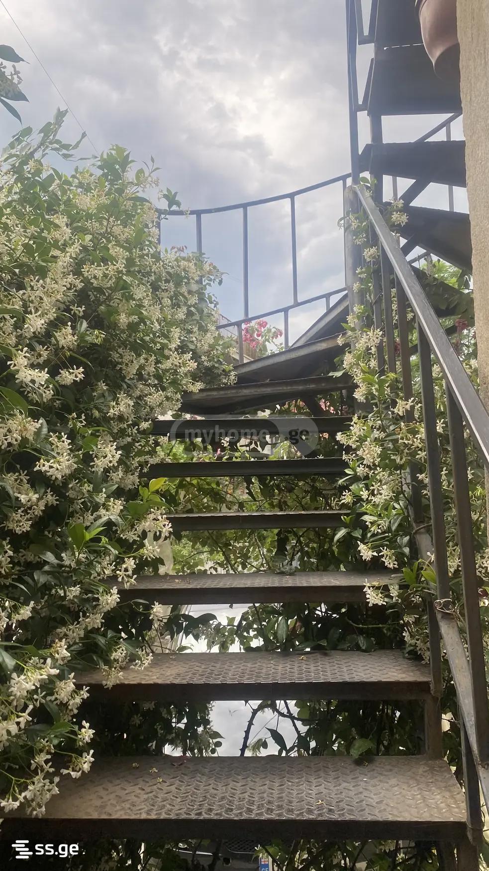 Private House For Sale. Vera view 9