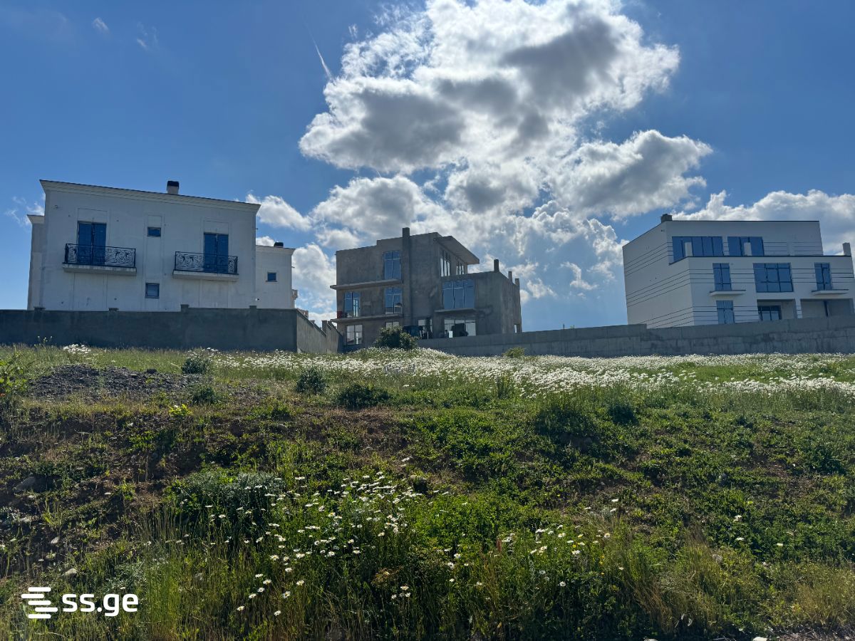 Land For Sale. Sololaki view 3
