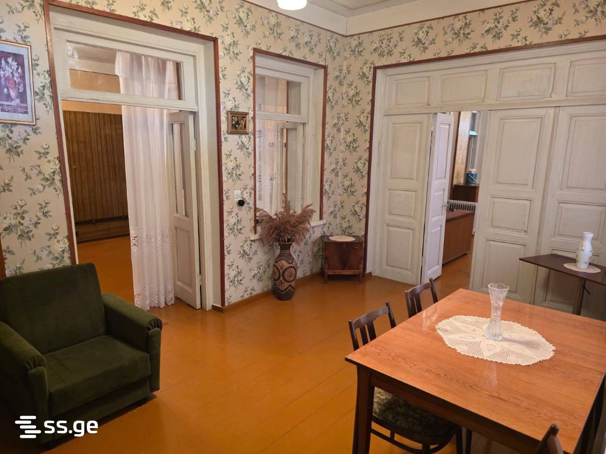 Private House For Sale. Sagarejo view 3