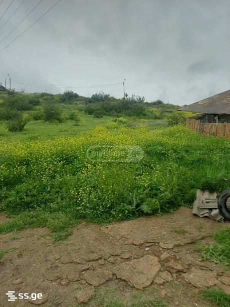 Land For Sale. Saburtalo view 3