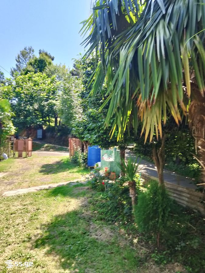 4 Room Private House For Rent. Tsikhisdziri view 14