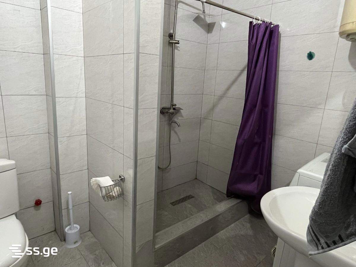 4 Room Private House Daily Rent. Mtskheta, 7 of 10