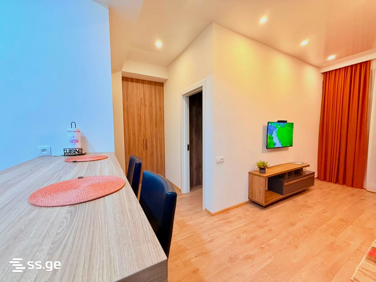 2 room Flat Daily rent. Didi digomi - Ansicht 4