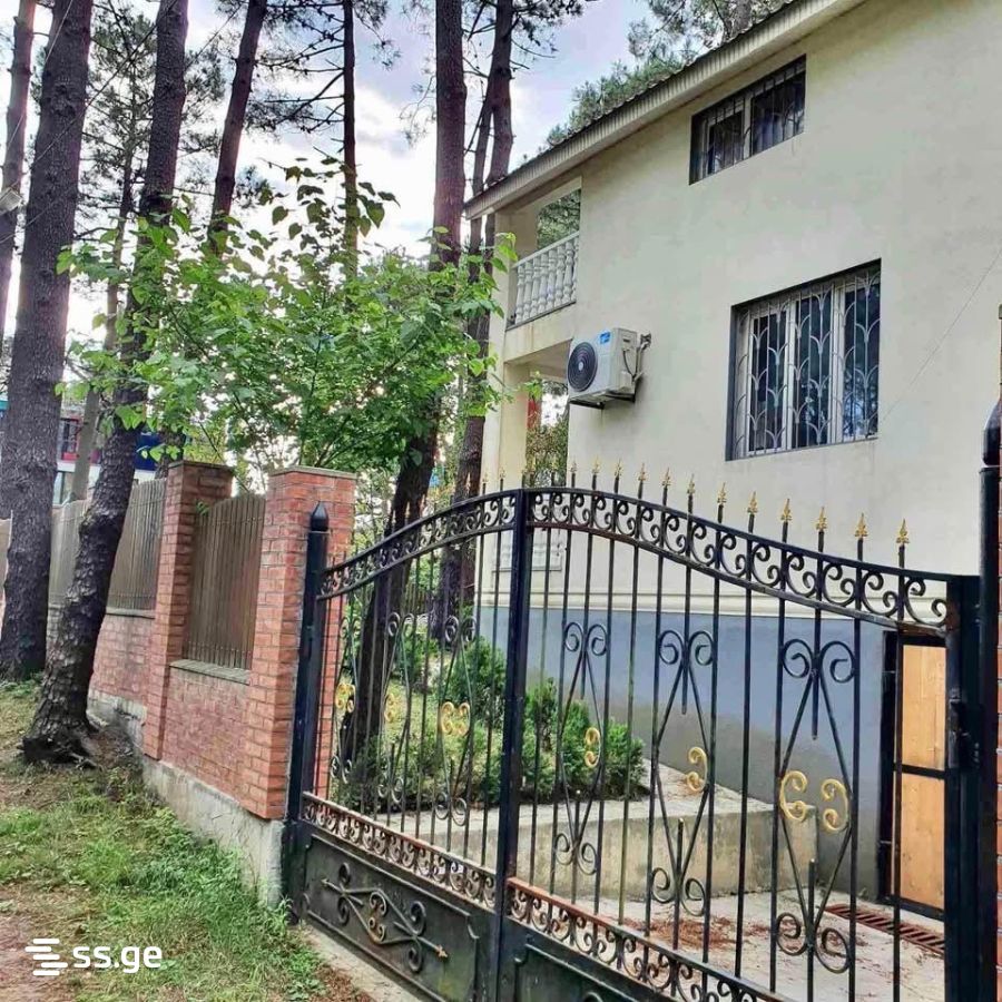 6 Room Private House Daily Rent. Grigoleti view 2