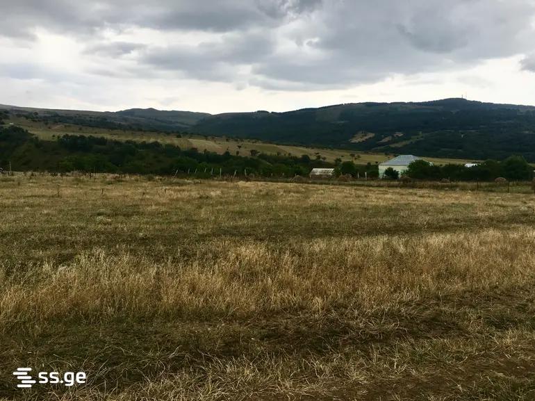 Land For Sale. Manglisi view 2