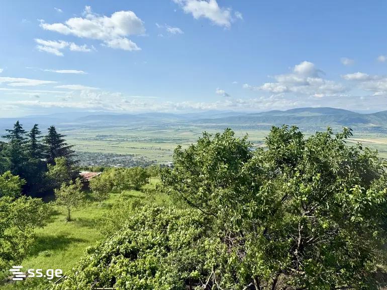 4 Room Private House For Rent. Tserovani view 13