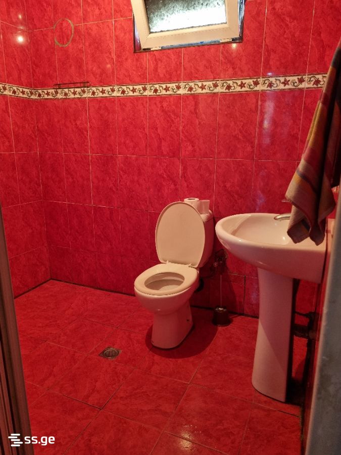 3 Room Private House For Rent. Akhalsopeli view 7