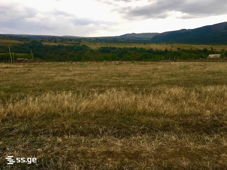 Land For Sale. Manglisi view 3