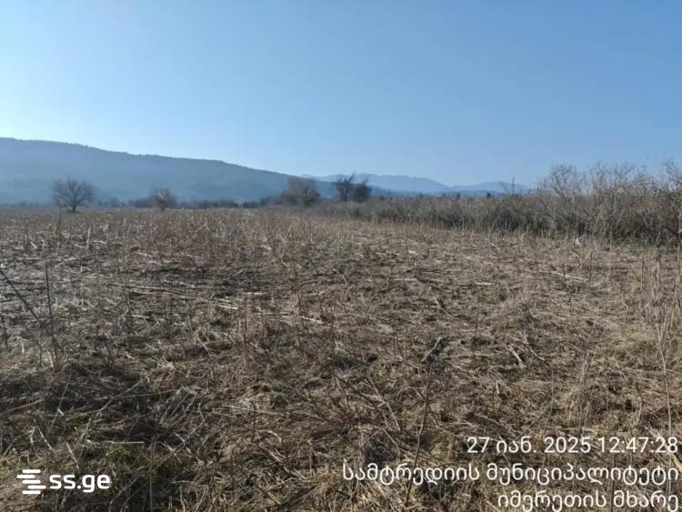 Продажа Земля в самтредиа view 1