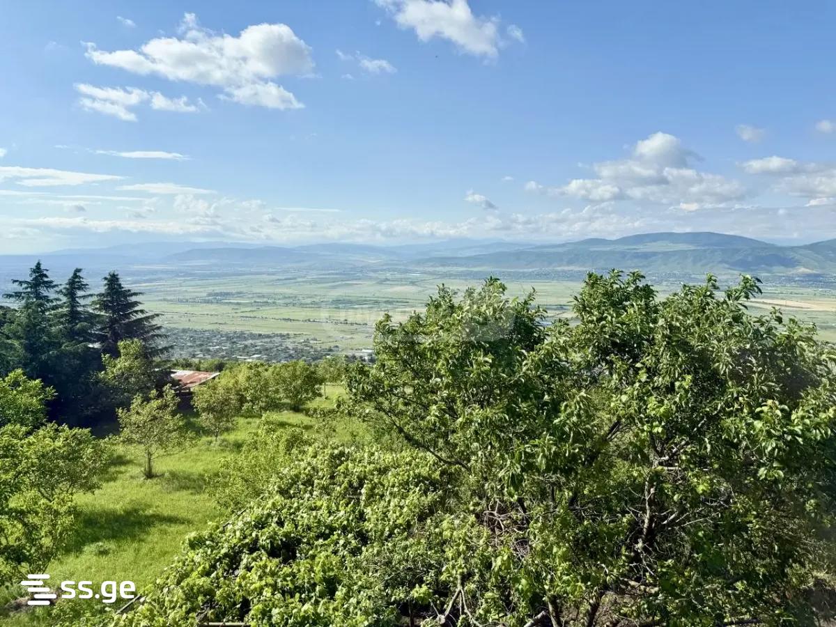 4 Room Private House For Rent. Mtskheta view 15