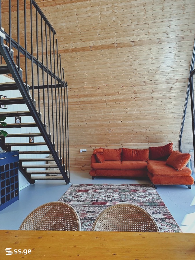 6 Room Private House Daily Rent. Bazaleti view 6