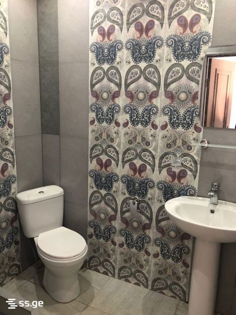 3 Room Private House For Rent. Gldani view 13
