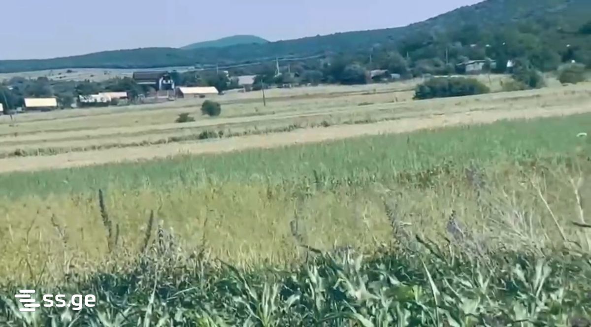Продажа Земля в базалети view 3