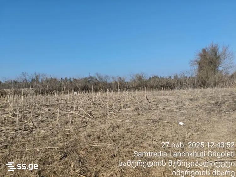 Продажа Земля в самтредиа view 3