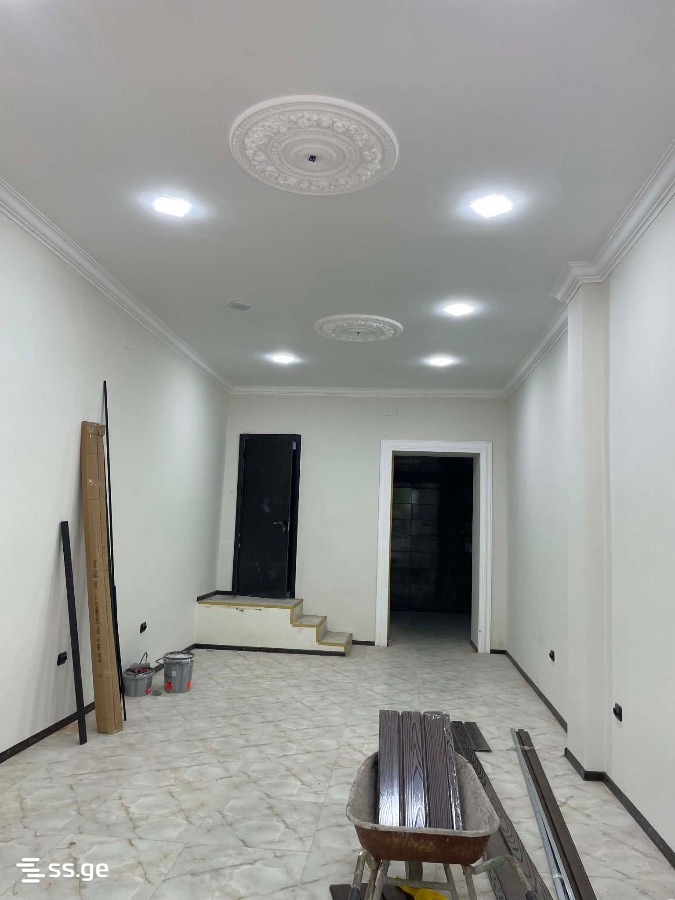 Commercial Space For Rent. Kutaisi view 2