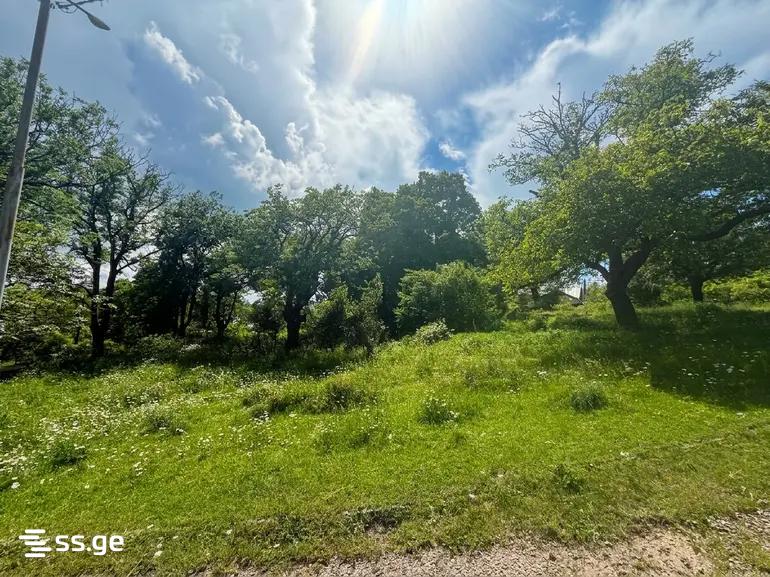 Land For Sale. Isani view 4