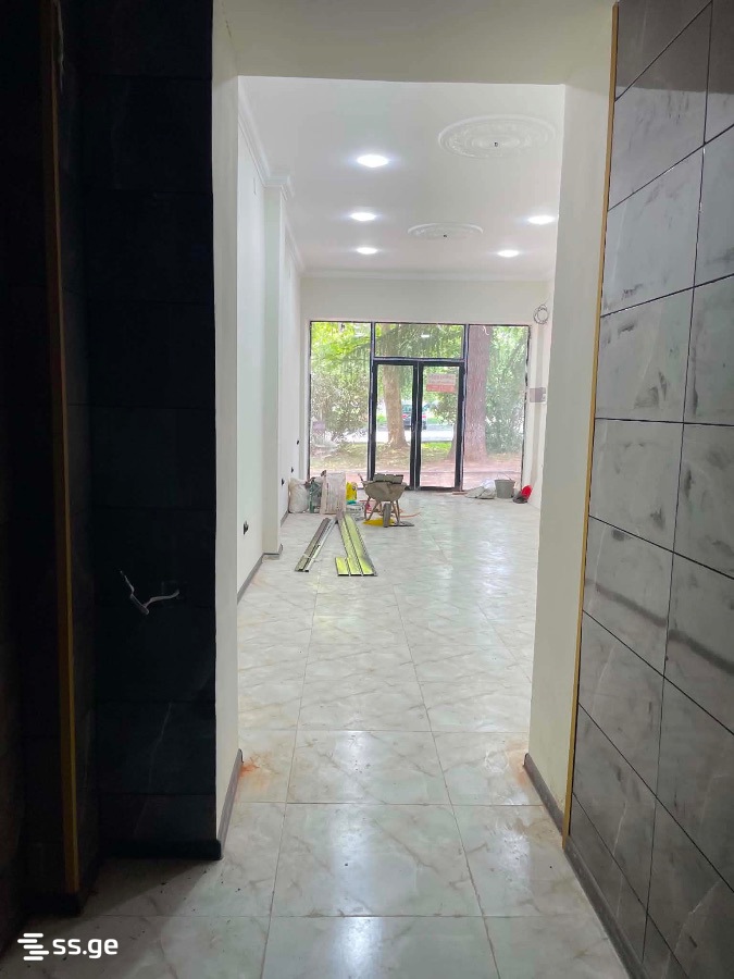 Commercial Space For Rent. Kutaisi view 4