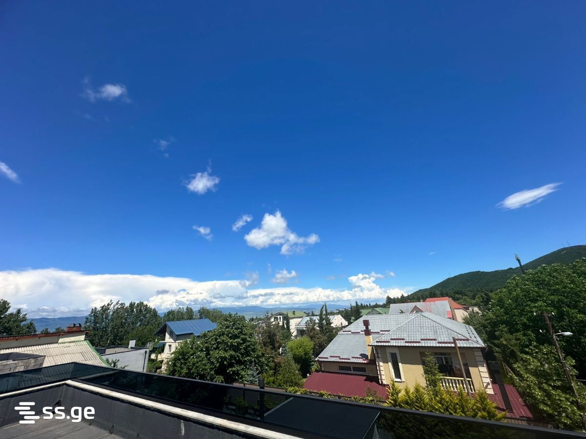 Summer Cottage For Rent. Tskneti view 2