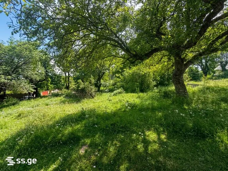 Land For Sale. Isani view 3