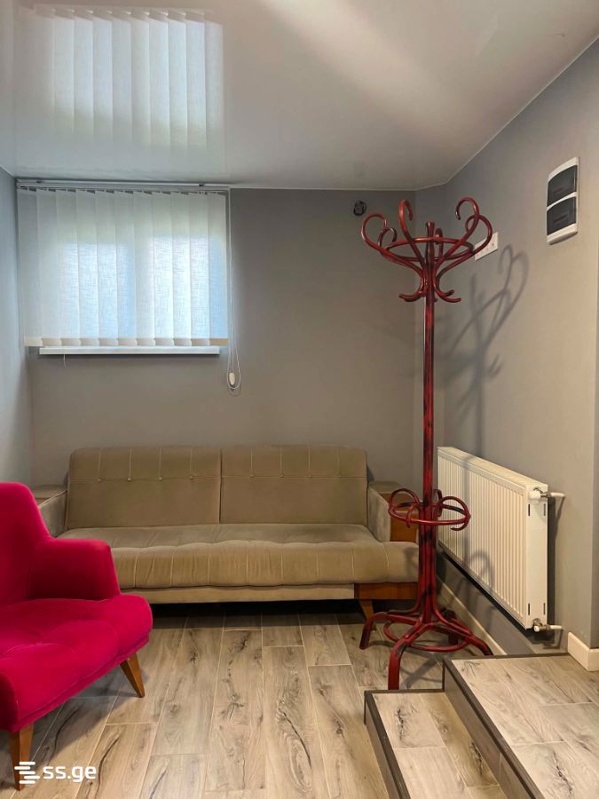 Commercial Space For Rent. Saguramo view 9