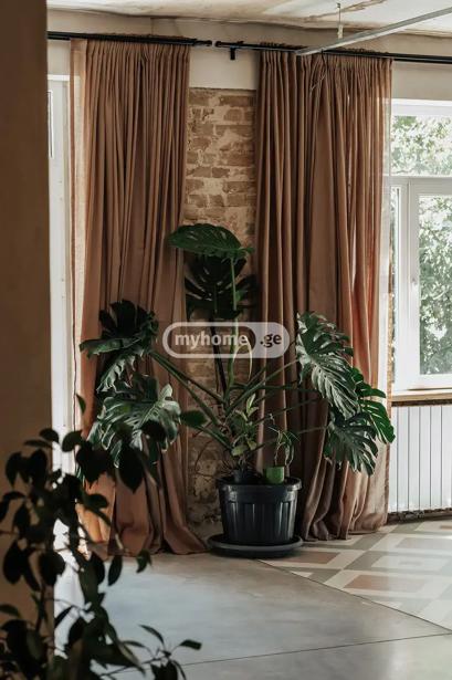 https://static.ss.ge/20260626/1_d7169cbd-c3e5-4c64-85ce-0dfb022f1e02_Thumb.jpg