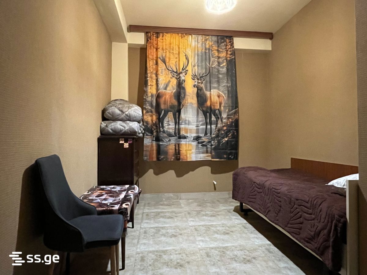 4 Room Private House Daily Rent. Mtskheta, 6 of 10