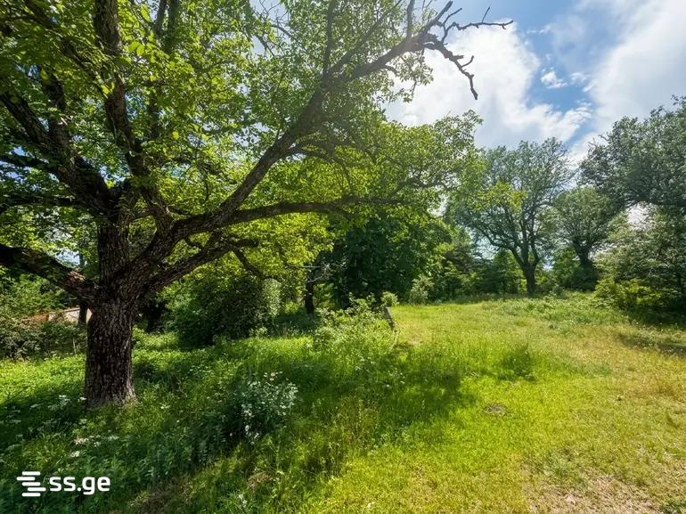 Land For Sale. Isani view 2
