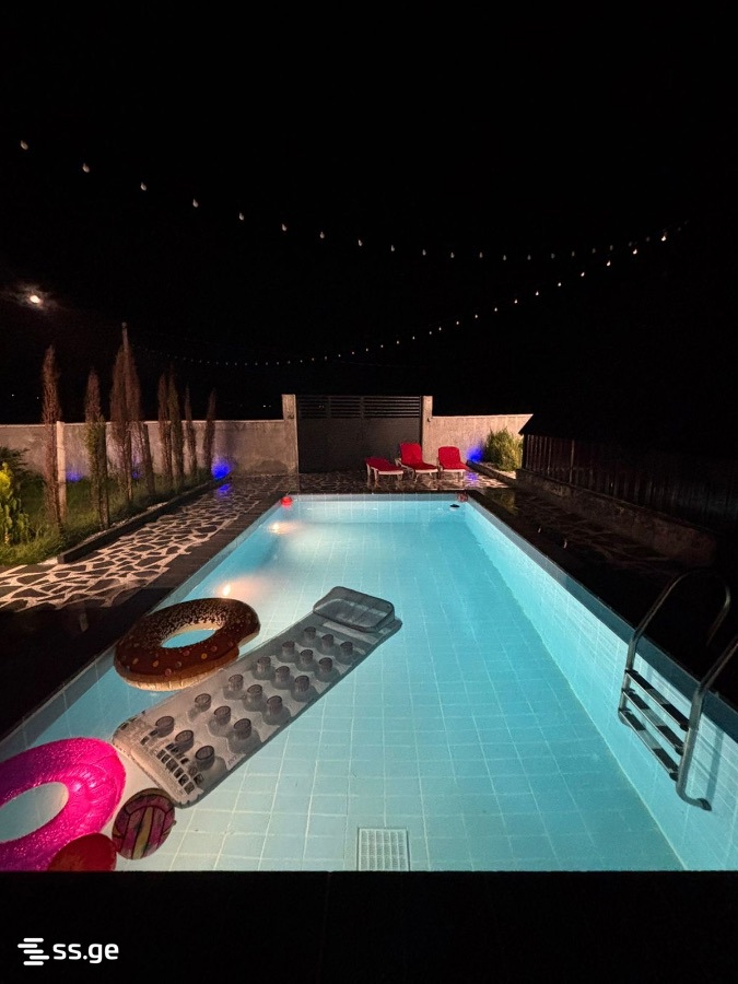 6 Room Private House Daily Rent. Bazaleti view 2