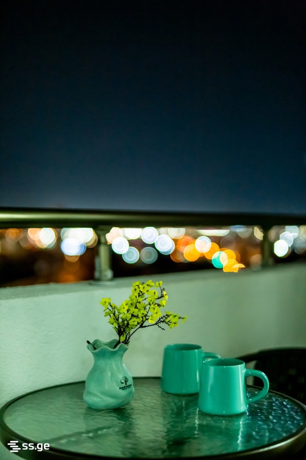 1 Room Flat Daily Rent. Avlabari view 13