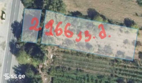 Land For Sale. Misaktsieli view 3